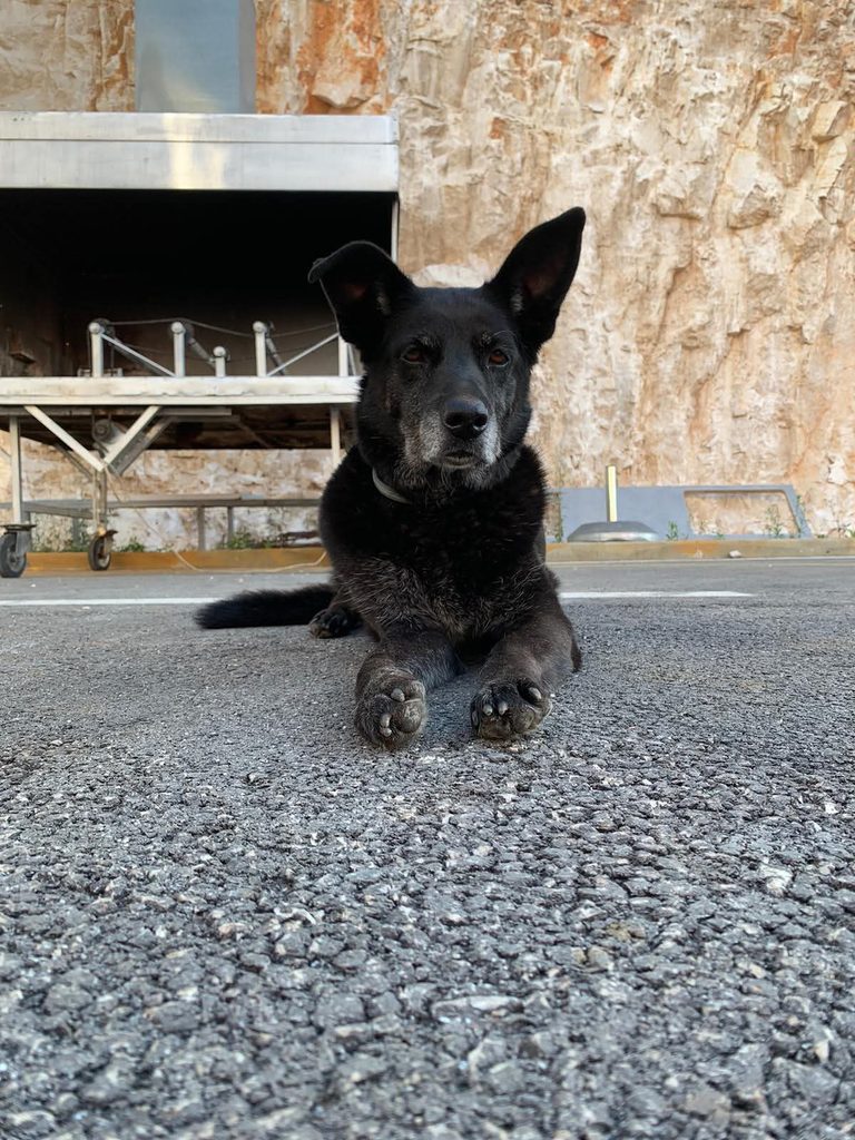 1000220777